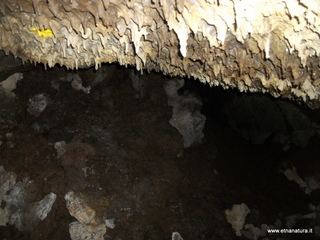 otta Petralia-17-03-2013 10-41-13
